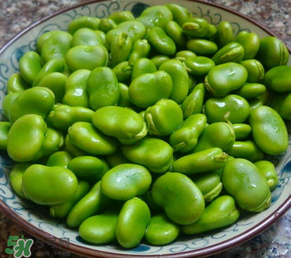 蠶豆多少錢一斤？蠶豆多少錢一斤2017？