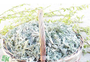 白蒿要焯水嗎？白蒿要不要焯水？