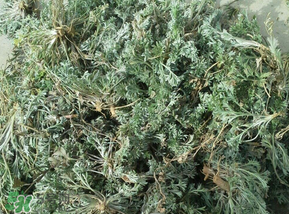 白蒿多少錢一斤？白蒿的價格