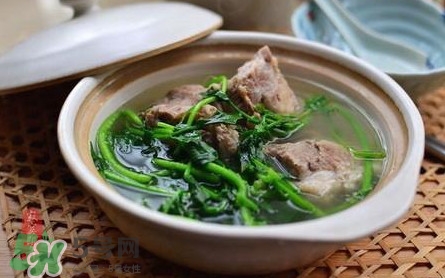 西洋菜是涼性的嗎？西洋菜是性寒的菜嗎