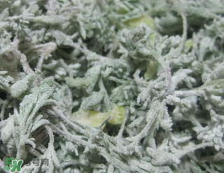 白蒿不能和什么一起吃？白蒿不能與什么同食？