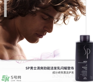 sp威娜是什么牌子？威娜是哪個國家什么檔次？