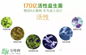 益生菌哪個(gè)牌子好？哪個(gè)牌子的益生菌好？