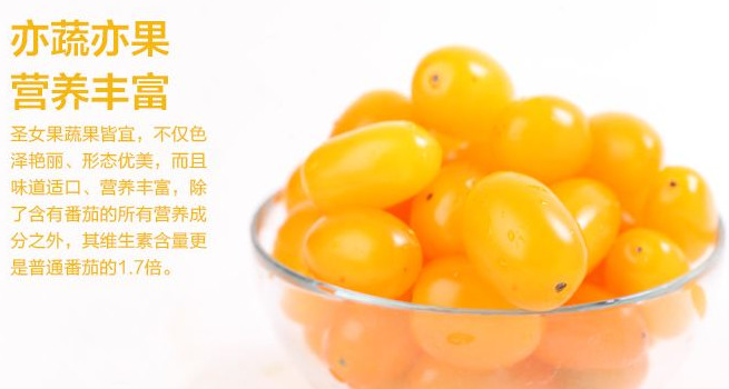 圣女果能減肥嗎？圣女果可以減肥嗎
