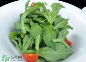 冰草不能和什么一起吃？冰草不能和什么同時(shí)吃？