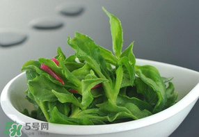 冰草可以放冰箱嗎？冰草能用冰塊保存嗎？
