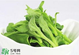 冰草多少錢一斤？非洲冰草多少錢一斤？
