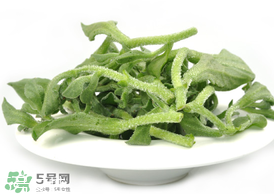 ?冰草為什么會酸？冰草為什么是酸的？