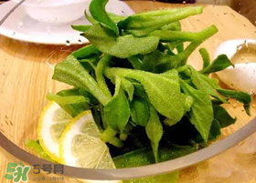 冰草用什么醬？冰草用什么醬好吃？