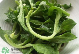 冰菜為什么會酸？冰菜為什么是咸的？
