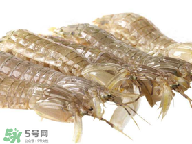 蝦爬子什么季節(jié)最肥？蝦爬子幾月份最肥？