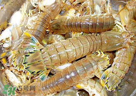蝦爬子能冷凍嗎？蝦爬子可以冷藏嗎？