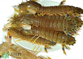 蝦爬子能冷凍嗎？蝦爬子可以冷藏嗎？