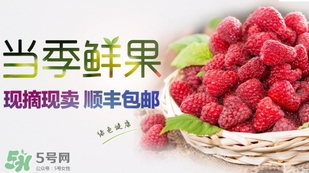 刺泡是覆盆子嗎？刺泡和覆盆子的區(qū)別