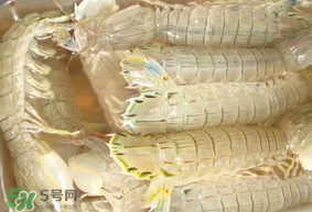 蝦爬子綠色怎么回事？蝦爬子變黑還能吃嗎？
