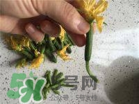 黃瓜花能吃嗎？黃瓜花怎么吃