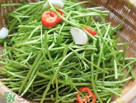 泥蒿怎么做好吃？泥蒿做法