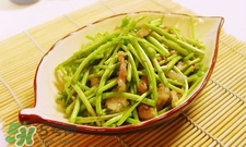 蘆蒿與茼蒿有什么區(qū)別？蘆蒿和茼蒿的區(qū)別
