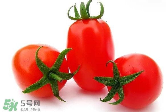 圣女果是水果還是蔬菜？圣女果屬于蔬菜還是水果