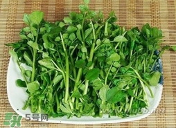 哺乳期能吃西洋菜嗎？哺乳期可以吃西洋菜嗎
