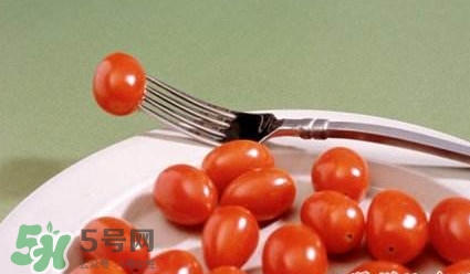 圣女果是什么？圣女果是西紅柿嗎
