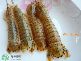 蝦爬子能放多久？蝦爬子怎么保存時間長？