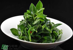 冰草是田七嗎？冰草和田七一樣嗎？