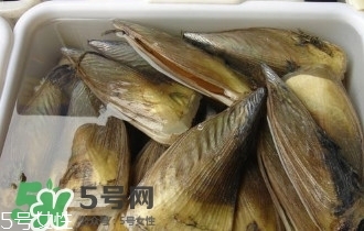 青口貝如何清洗？青口貝怎么處理