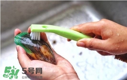 青口貝如何清洗？青口貝怎么處理