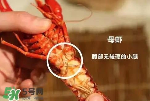 蝦子怎么吃？蝦子的吃法