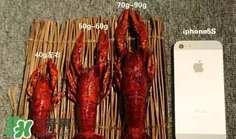 蝦子怎么吃？蝦子的吃法