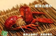 蝦子怎么吃？蝦子的吃法