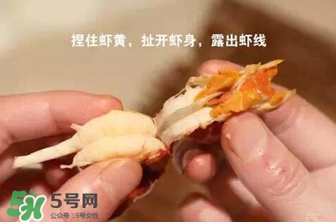 蝦子怎么吃？蝦子的吃法