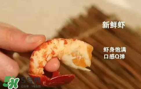 蝦子怎么吃？蝦子的吃法