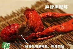 蝦子怎么吃？蝦子的吃法