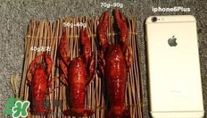 蝦子怎么吃？蝦子的吃法