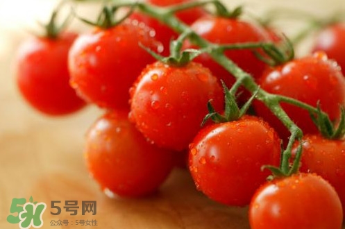 小番茄怎么洗？小番茄怎么清洗