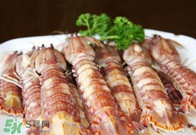 蝦爬子是寒性的嗎？蝦爬子是熱性的還是寒性的？