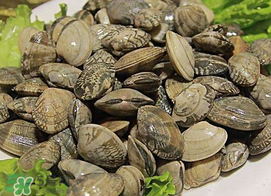 蜆子不能和什么一起吃？吃蜆子不能吃什么？