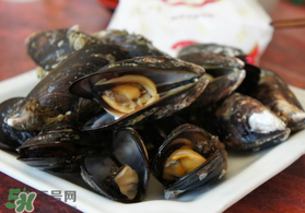 淡菜什么時候最肥？淡菜什么時候吃最好？