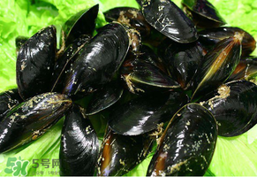 哪些人不適合吃淡菜？淡菜什么人不能吃？