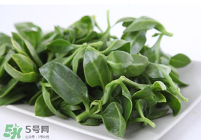 冰菜和穿心蓮是同一種菜嗎？冰菜和穿心蓮是一科嗎？