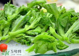 冰菜孕婦能吃嗎？孕婦能不能吃冰菜？