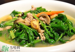 冰菜孕婦能吃嗎？孕婦能不能吃冰菜？