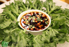 冰菜怎么涼拌？冰菜可以用沙拉醬拌嗎？