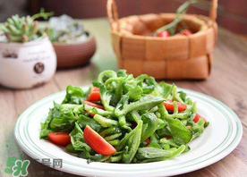 冰菜怎么涼拌？冰菜可以用沙拉醬拌嗎？