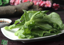 冰菜可以生吃嗎？冰菜能生吃嗎？