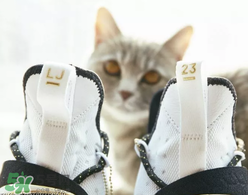 nike lebron 14怎么樣？耐克lebron 14測評