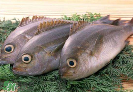 蠶豆和魚能一起吃嗎？蠶豆和魚吃相克嗎？