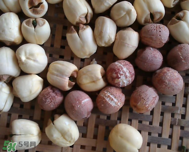 芡實(shí)不能和什么一起吃？芡實(shí)不能與什么同食？